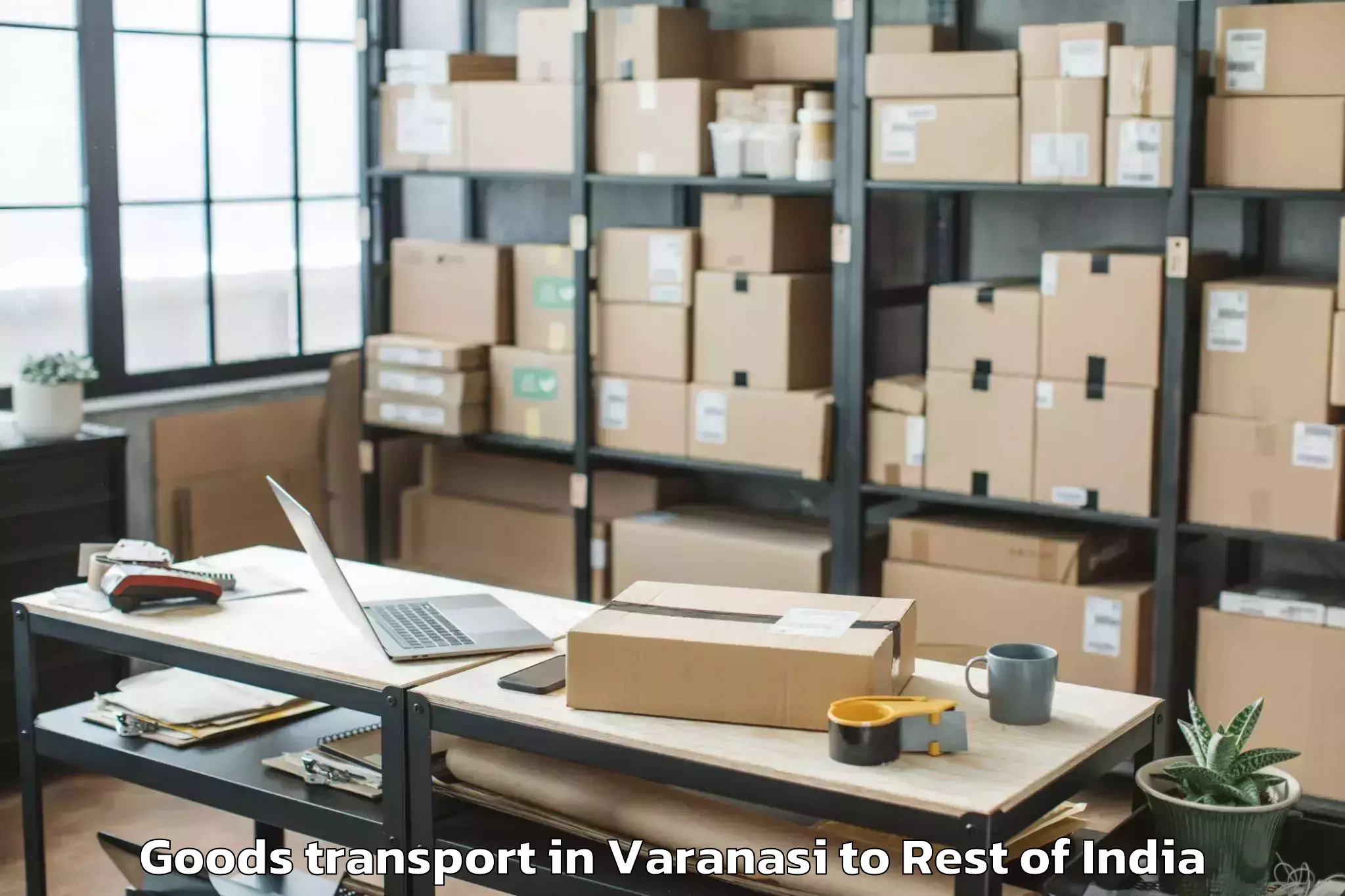 Affordable Varanasi to San Francisco Goods Transport